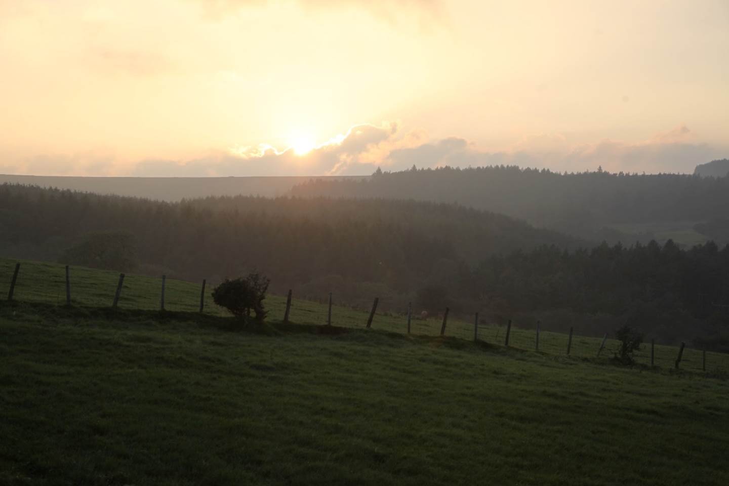 A sunset over a grassy field
Description automatically generated